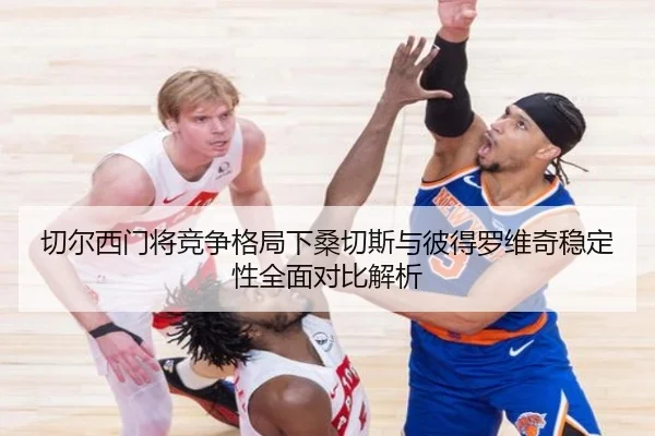 切尔西门将竞争格局下桑切斯与彼得罗维奇稳定性全面对比解析